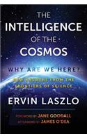 The Intelligence of the Cosmos