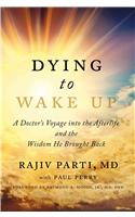 Dying to Wake Up: A Doctor's Voyage Into the Afterlife and the Wisdom He Brought Back