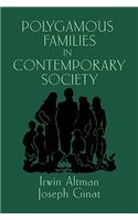 Polygamous Families in Contemporary Society