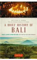 A Brief History Of Bali