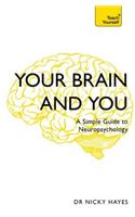 Your Brain and You