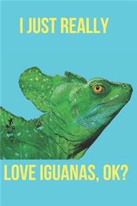 I Just Really Love Iguanas, Ok?