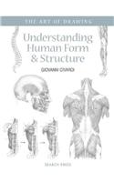 Understanding Human Form & Structure