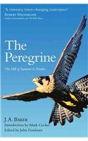 The Peregrine