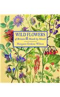 Wild Flowers of Britain