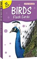 Birds flash cards