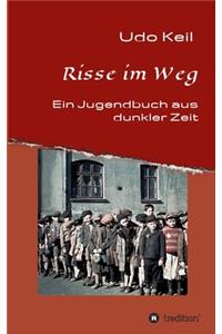 Risse im Weg: Ein Jugendbuch aus Deutschlands dunkler Zeit