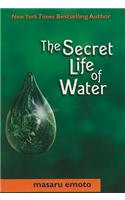 Secret Life of Water