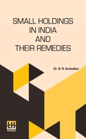 Small Holdings In India And Their Remedies