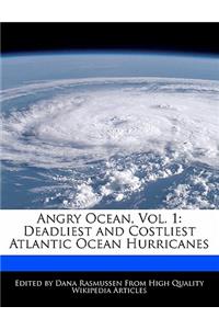 Angry Ocean, Vol. 1