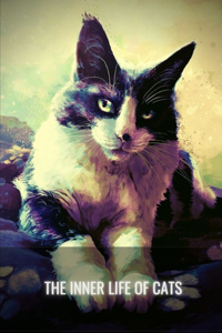 The Inner Life of Cats