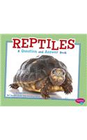 Reptiles