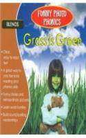 Funny Photo Phonics Grass is Green