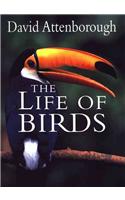 Life of Birds