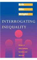 Interrogating Inequality