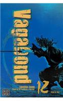 Vagabond (Vizbig Edition), Vol. 12