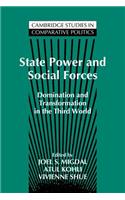 State Power and Social Forces