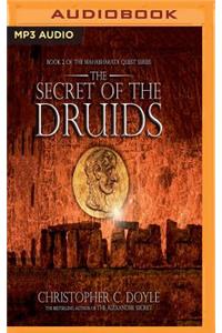 The Secret of the Druids: (Mahabharata Quest)