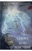 The Ghost in the Machine