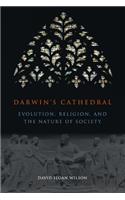 Darwin`s Cathedral – Evolution, Religion, and the Nature of Society