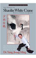The Essence of Shaolin White Crane