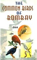 Common Birds of Bombay