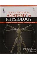 Practice Workbook in Anatomy and Physiology