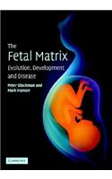 Fetal Matrix: Evolution, Development and Disease