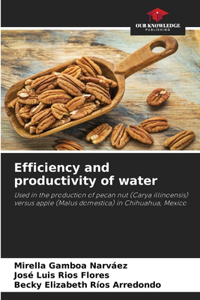 Efficiency and productivity of water