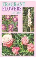 Fragrant Flower