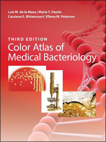 Molecular Biotechnology