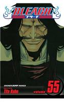 Bleach, Vol. 55