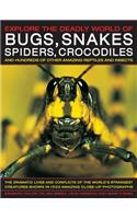 Explore the Deadly World of Bugs, Snakes, Spiders & Crocodiles
