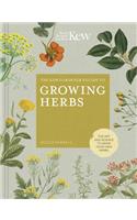 The Kew Gardener's Guide to Growing Herbs