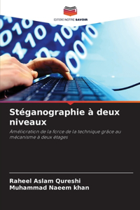 Stéganographie à deux niveaux