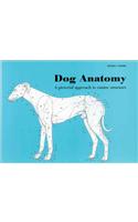 Dog Anatomy