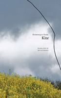 Kite