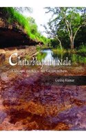 Chaturbhujnath Nala:: A Magnificent Rock Art Gallery in India