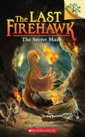 Secret Maze: A Branches Book (the Last Firehawk #10)