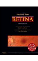 Retina