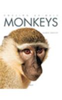 Monkeys
