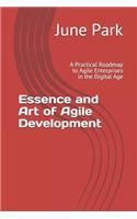 Essence and Art of Agile Development