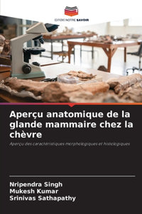 Aperçu anatomique de la glande mammaire chez la chèvre