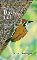 Among The Birds Of India