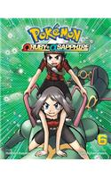 Pokémon Omega Ruby & Alpha Sapphire, Vol. 6