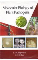 Molecular Biology and Plant Pathogens