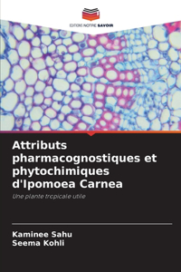 Attributs pharmacognostiques et phytochimiques d'Ipomoea Carnea