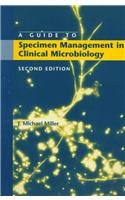 A Guide to Specimen Management in Clinical Microbiology