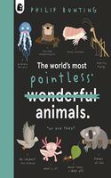 The World's Most Pointless Animals