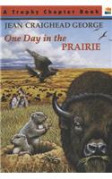 One Day in the Prairie